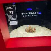 ヒメ日記 2026/01/19 02:54 投稿 高道 熟女の風俗最終章 横浜本店