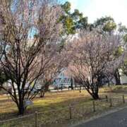 ヒメ日記 2026/03/15 17:04 投稿 高道 熟女の風俗最終章 横浜本店