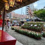 ヒメ日記 2026/07/07 10:34 投稿 高道 熟女の風俗最終章 横浜本店