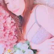 ヒメ日記 2025/12/29 23:57 投稿 伊集院　あいね エテルナ京都