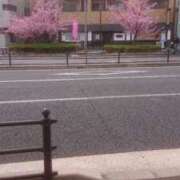 ヒメ日記 2026/03/07 15:51 投稿 伊集院　あいね エテルナ京都