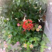 ヒメ日記 2025/10/02 11:37 投稿 ルミ PAL（パル）