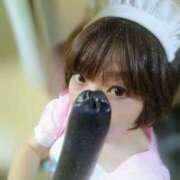 ヒメ日記 2025/02/07 14:02 投稿 ちなみ PAL（パル）