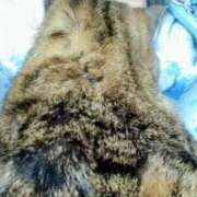 ヒメ日記 2025/03/18 13:43 投稿 ちなみ PAL（パル）