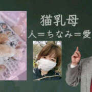 ヒメ日記 2025/04/10 11:38 投稿 ちなみ PAL（パル）