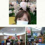 ヒメ日記 2025/04/22 14:54 投稿 ちなみ PAL（パル）