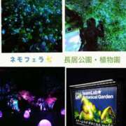 ヒメ日記 2025/04/25 12:27 投稿 ちなみ PAL（パル）