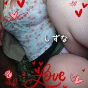 ヒメ日記 2026/03/29 11:20 投稿 シズナ 人妻生レンタル