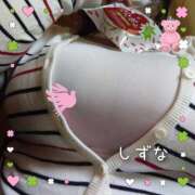 シズナ お花見気分ブンブン 人妻生レンタル