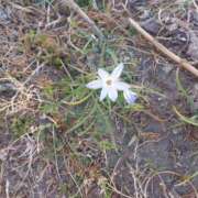 ヒメ日記 2025/04/05 18:40 投稿 ミナミ 人妻生レンタル