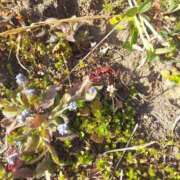 ヒメ日記 2025/04/08 18:30 投稿 ミナミ 人妻生レンタル