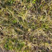 ヒメ日記 2025/04/12 18:40 投稿 ミナミ 人妻生レンタル