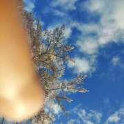 ヒメ日記 2025/04/14 19:00 投稿 ミナミ 人妻生レンタル