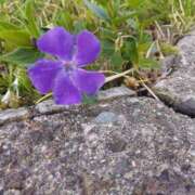 ヒメ日記 2025/04/19 18:31 投稿 ミナミ 人妻生レンタル