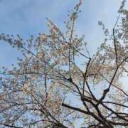 ヒメ日記 2025/04/22 20:38 投稿 ミナミ 人妻生レンタル