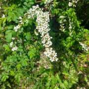 ヒメ日記 2025/04/28 21:06 投稿 ミナミ 人妻生レンタル