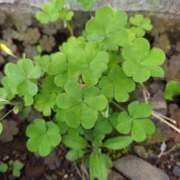 ヒメ日記 2025/05/18 01:00 投稿 ミナミ 人妻生レンタル