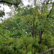 ヒメ日記 2025/06/06 18:40 投稿 ミナミ 人妻生レンタル