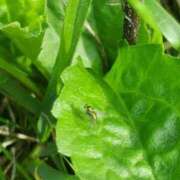 ヒメ日記 2025/09/23 18:40 投稿 ミナミ 人妻生レンタル