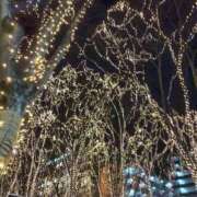 ヒメ日記 2025/12/13 18:40 投稿 ミナミ 人妻生レンタル