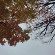 ヒメ日記 2025/12/16 18:30 投稿 ミナミ 人妻生レンタル