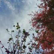 ヒメ日記 2026/01/20 18:40 投稿 ミナミ 人妻生レンタル