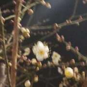 ヒメ日記 2026/02/17 17:40 投稿 ミナミ 人妻生レンタル