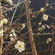 ミナミ ネタ助かります( *´艸) 人妻生レンタル