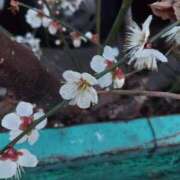 ヒメ日記 2026/03/11 18:50 投稿 ミナミ 人妻生レンタル