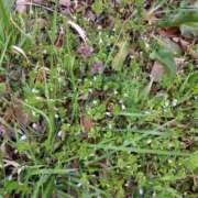 ヒメ日記 2026/04/03 18:20 投稿 ミナミ 人妻生レンタル