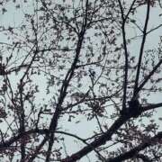 ヒメ日記 2026/04/06 19:05 投稿 ミナミ 人妻生レンタル