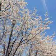 ミナミ こんばんわ＼(_ _) 人妻生レンタル