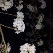 ミナミ おだい( ￣ー￣)ﾉ 人妻生レンタル