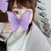 セシル 本日出勤 大塚アテネ