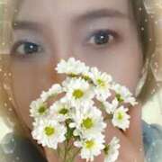 ヒメ日記 2025/03/27 06:13 投稿 しずか 妻天 梅田店