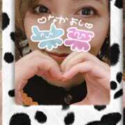 ヒメ日記 2026/03/30 05:57 投稿 しずか 妻天 梅田店