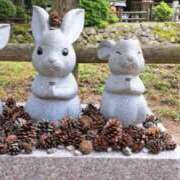 ヒメ日記 2025/05/27 20:19 投稿 なおこ 妻天 梅田店