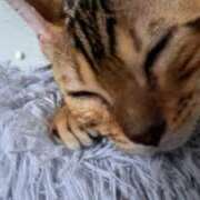 ヒメ日記 2025/06/28 18:31 投稿 なおこ 妻天 梅田店