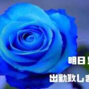 ヒメ日記 2025/04/14 12:58 投稿 なみ 妻天 梅田店