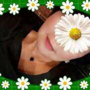 ヒメ日記 2025/06/24 16:00 投稿 なみ 妻天 梅田店