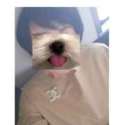 ヒメ日記 2025/09/30 18:17 投稿 なみ 妻天 梅田店