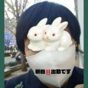 ヒメ日記 2025/12/14 22:57 投稿 なみ 妻天 梅田店