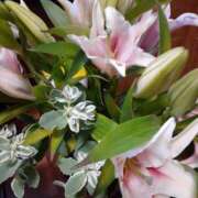 ヒメ日記 2026/03/11 15:11 投稿 なみ 妻天 梅田店