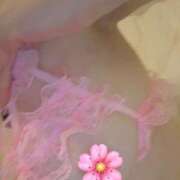 ヒメ日記 2026/04/17 05:36 投稿 なみ 妻天 梅田店