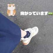 ヒメ日記 2026/05/28 10:00 投稿 なみ 妻天 梅田店
