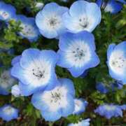 ヒメ日記 2025/04/08 20:48 投稿 さよ 妻天 梅田店