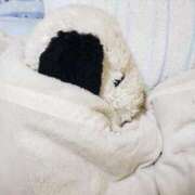 ヒメ日記 2025/04/13 09:17 投稿 さよ 妻天 梅田店