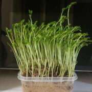 ヒメ日記 2025/04/15 22:24 投稿 さよ 妻天 梅田店