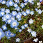 ヒメ日記 2025/04/19 06:47 投稿 さよ 妻天 梅田店