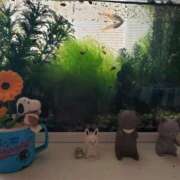 ヒメ日記 2025/04/27 08:17 投稿 さよ 妻天 梅田店